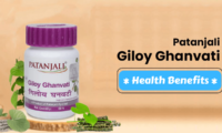 Giloy Ghanvati: Health Benefits of the Ayurvedic Wonder