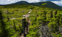 Is It Safe to Hike the Appalachian Trail Alone?