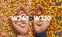 What is Difference Between W240 and W320 Cashew