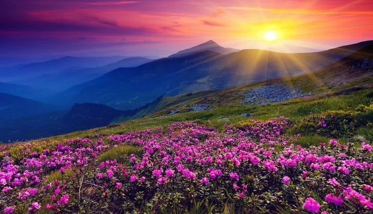 Valley of Flowers Trek