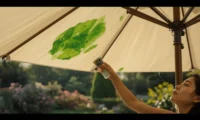 How to Remove Pesto Sauce Stains from Outdoor Umbrella Canopy Fabric