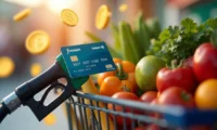 Best Rewards Credit Cards for Gas and Groceries – Everyday Spending Categories with High Search Intent
