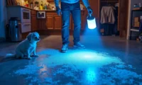 How to Remove Pet Urine Odor from Concrete Garage Floor for Good