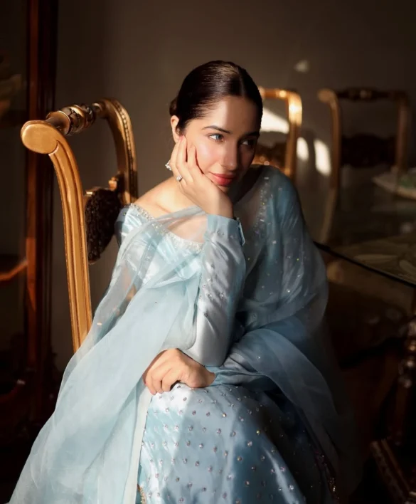 Sabeena Farooq Career Journey Highlights