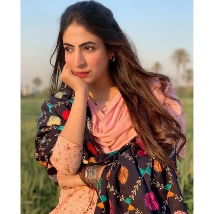 Sikha Chhabra Glamour Look