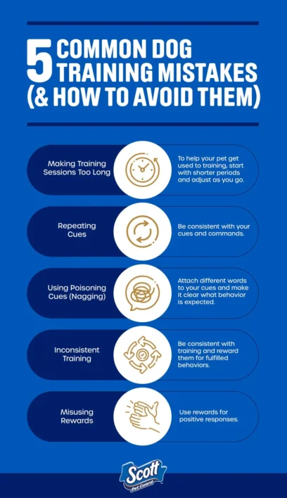 Common Dog Training Mistakes Beginners Make