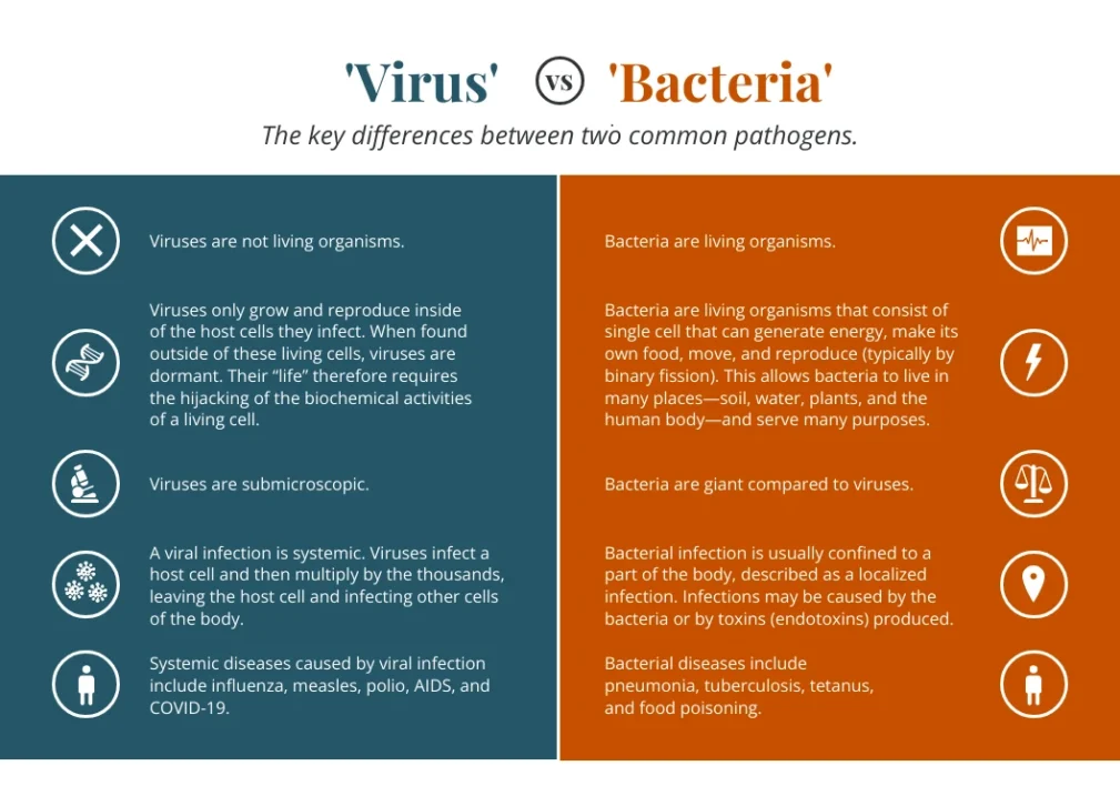 Sinus infection types comparison infographic