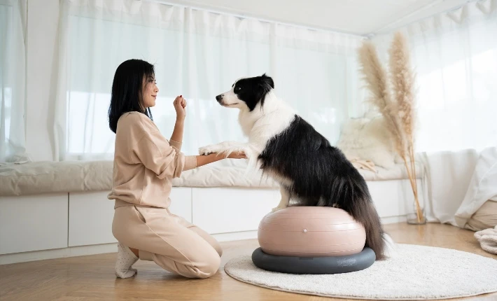 Positive Reinforcement Dog Training Methods