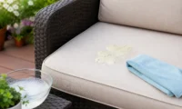 How to Remove Alfredo Sauce Stains from Outdoor Dining Chair Cushions – Easy Cleaning Tips